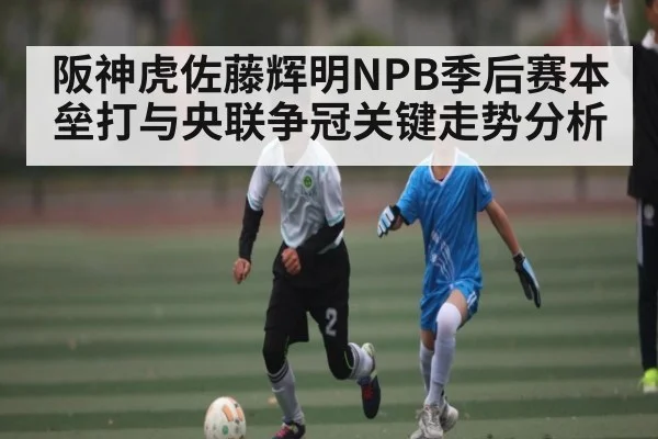 阪神虎佐藤辉明NPB季后赛本垒打与央联争冠关键走势分析