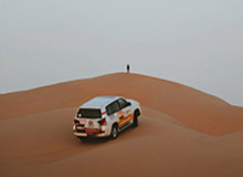 Shanks岩雀被Rookie蹲到，Soboro狼母豪取四杀团灭AL