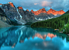 Shanks岩雀被Rookie蹲到，Soboro狼母豪取四杀团灭AL