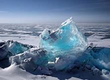 Shanks岩雀被Rookie蹲到，Soboro狼母豪取四杀团灭AL