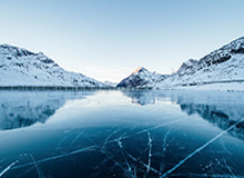 Shanks岩雀被Rookie蹲到，Soboro狼母豪取四杀团灭AL