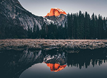 Shanks岩雀被Rookie蹲到，Soboro狼母豪取四杀团灭AL